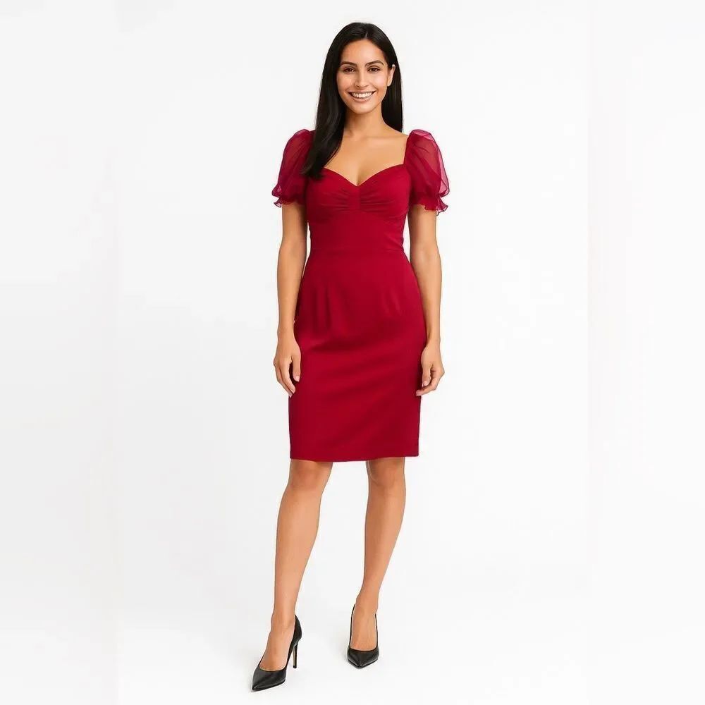 Alberta Ferretti *Raspberry* Puff Sleeve Midi Dress